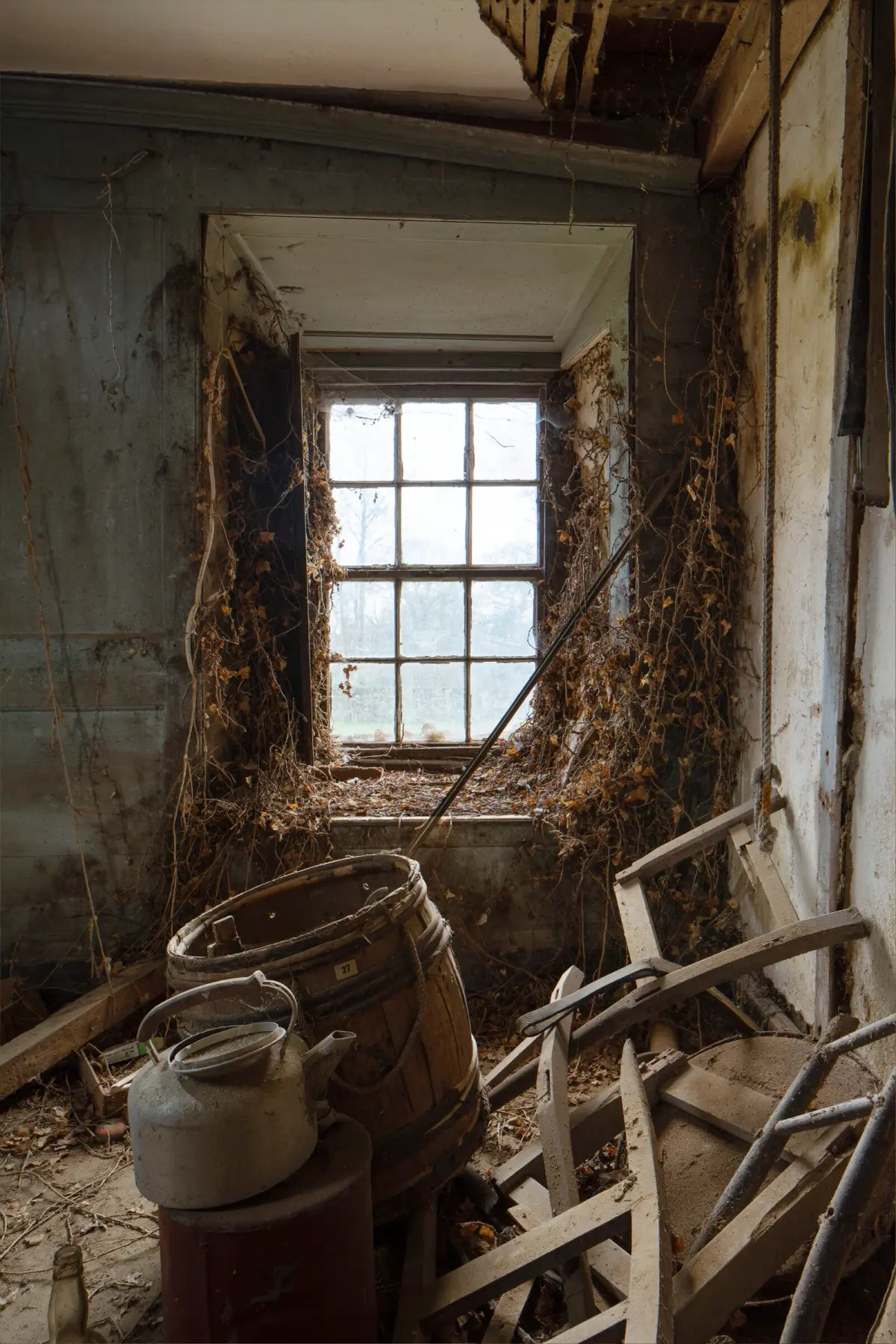 A window choked with dead ivy above a wooden barrel, a milk churn and a broken chair