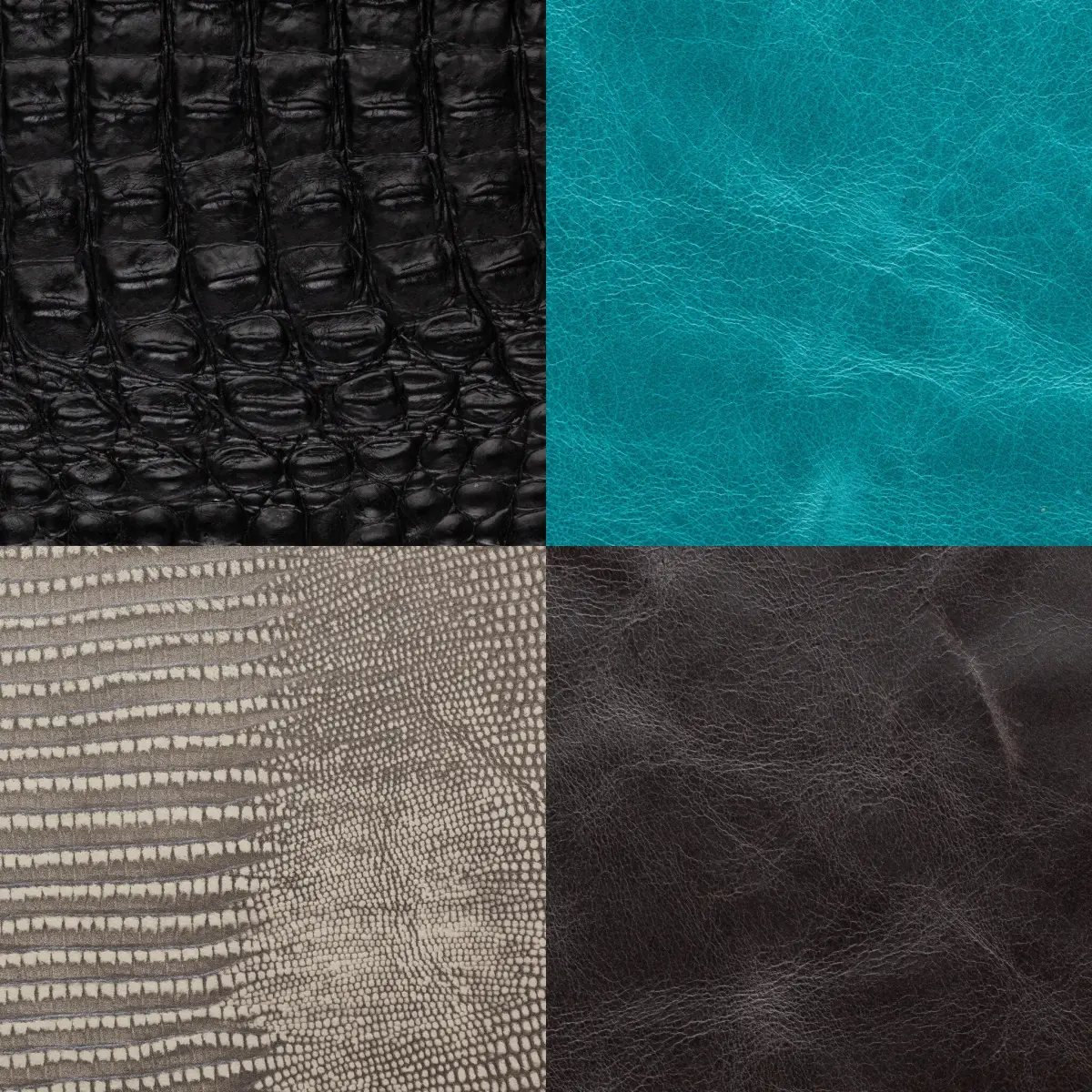 Leather sample, studio product photography